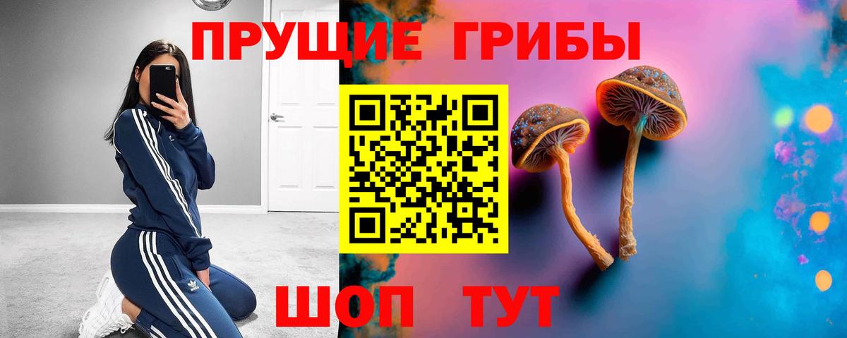 Псилоцибиновые грибы мухоморы  Вход с VPN  Менделеевск  Псилоцибиновые грибы ЛСД 