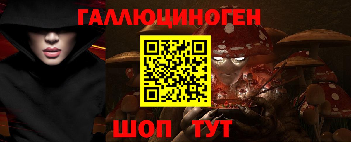 Псилоцибиновые грибы Cubensis Менделеевск