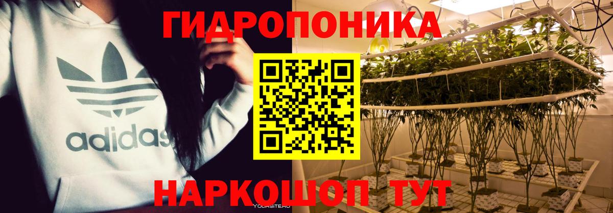 Бошки марихуана THC 21%  Каннабис Bruce Banner  Марихуана OG Kush  Менделеевск  Вход с VPN 
